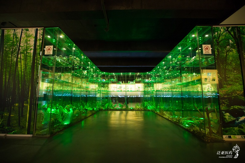 sakura/ueditor/uploads/20190313/155244498245000469.jpg 81cdcf0755a05e75d73efc92403e281.jpg