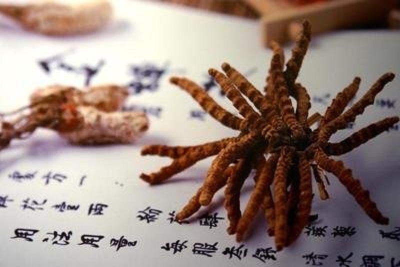 sakura/ueditor/uploads/20190226/1551165791106008486.jpg t01c2398a4338f298f7.jpg