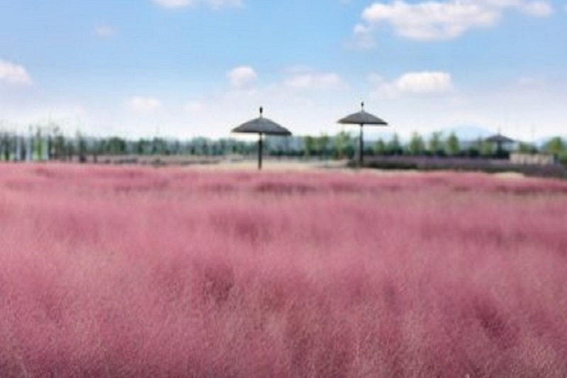 sakura/ueditor/uploads/20190314/1552528851133917735.jpg t019aca28e4dab57c50.jpg