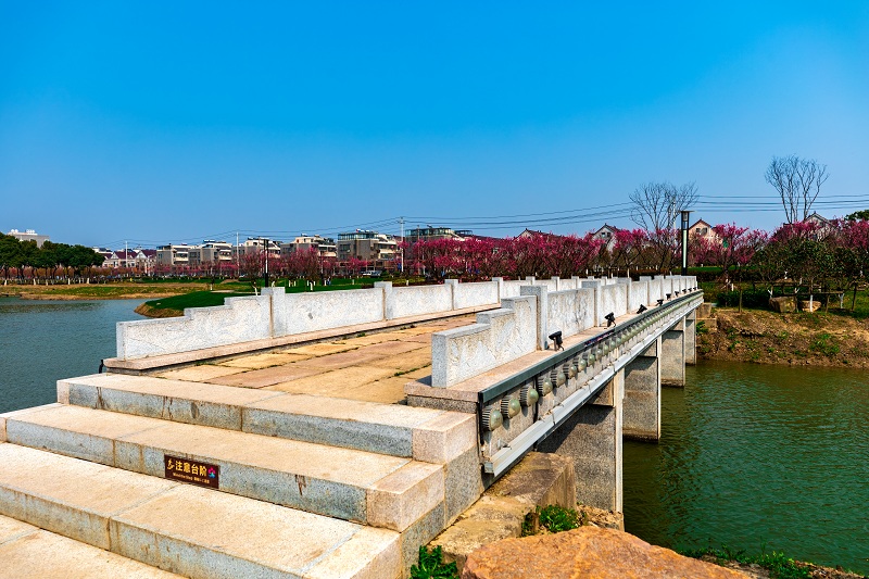 sakura/ueditor/uploads/20190314/155253399613618882.jpg qiao2.jpg