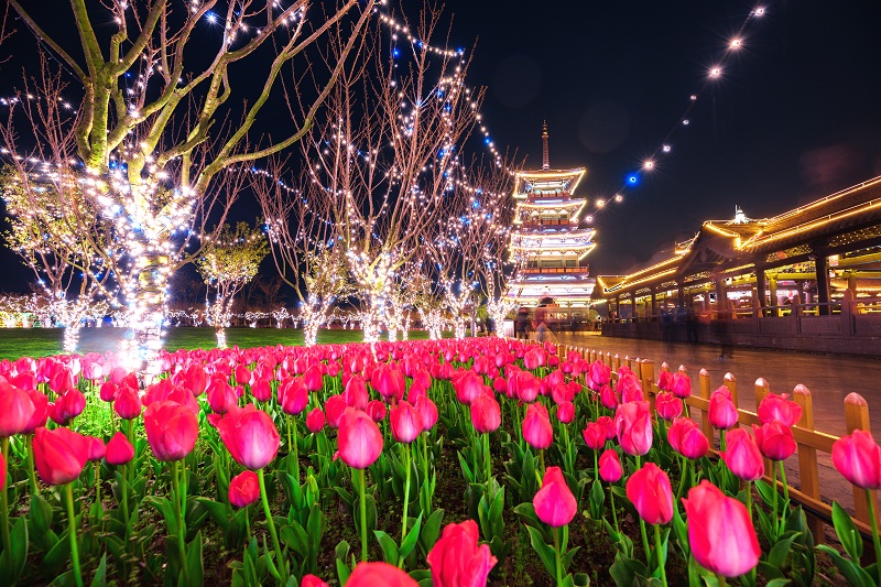 sakura/ueditor/uploads/20190327/1553673838196864906.jpg BE1A1376-HDR-1.jpg