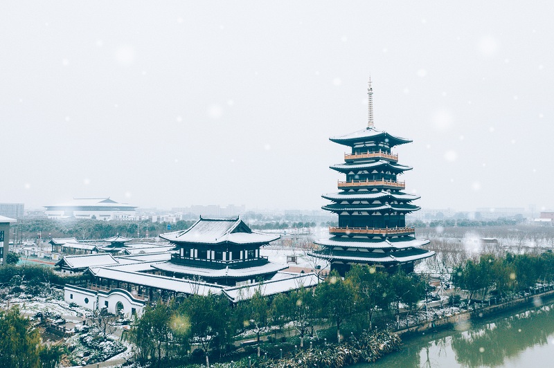 sakura/ueditor/uploads/20190220/155064185352672076.jpg DJI_0390.jpg