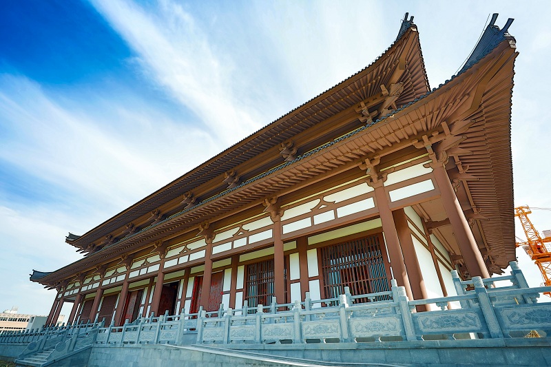 sakura/ueditor/uploads/20190221/1550717371162206129.jpg BE1A2723.jpg