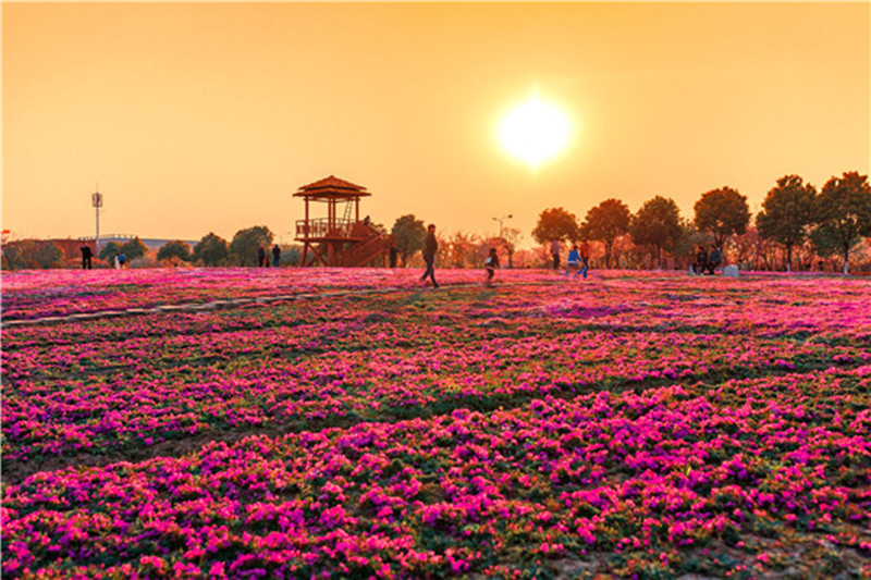 sakura/ueditor/uploads/20190614/156049619085120049.jpg 微信图片_20190611142017_副本.jpg