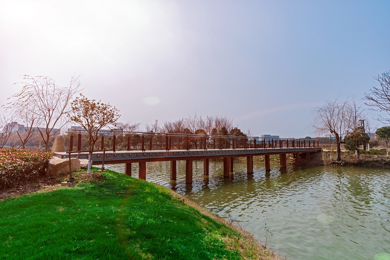 sakura/ueditor/uploads/20190314/1552533573165695483.jpg qiao1.jpg