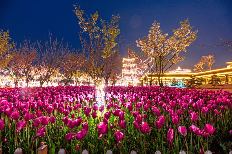 sakura/ueditor/uploads/20190614/1560480591112381581.jpg BE1A1364-HDR-1_副本.jpg