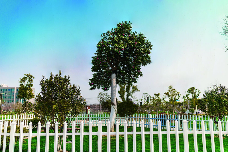 sakura/ueditor/uploads/20190626/1561514336131305172.jpg QQ图片20190626095711_副本.jpg