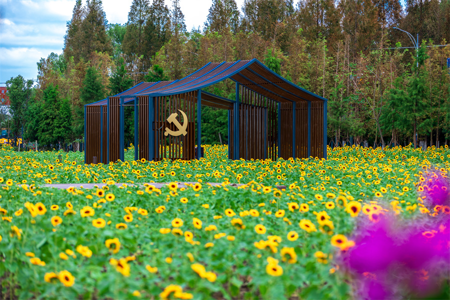 sakura/ueditor/uploads/20220512/1652338384149418554.jpg AG6A8151-1.jpg